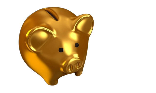 golden pig